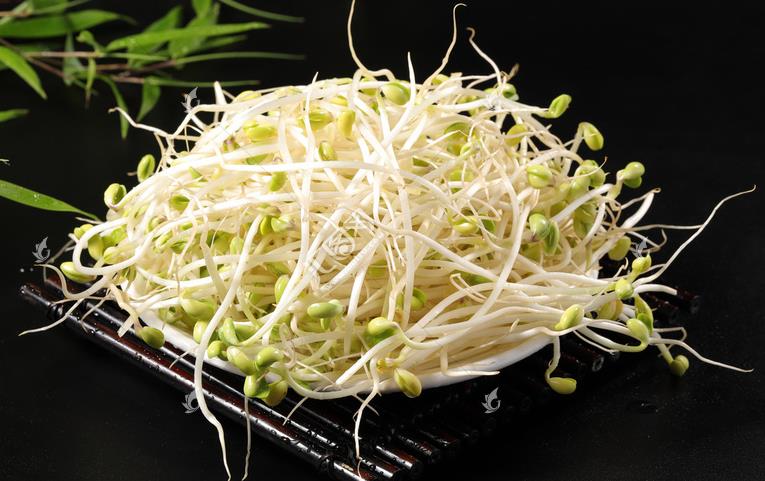 無公害綠色豆芽，怎么生產出來的？全套生產過程如此方便智能